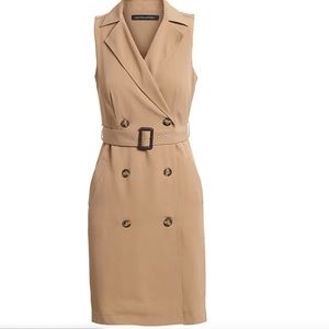 Double-Breasted Trench Dress - NWOT